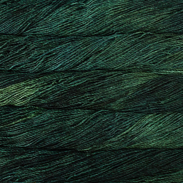 Malabrigo Dos Tierros - Image 7
